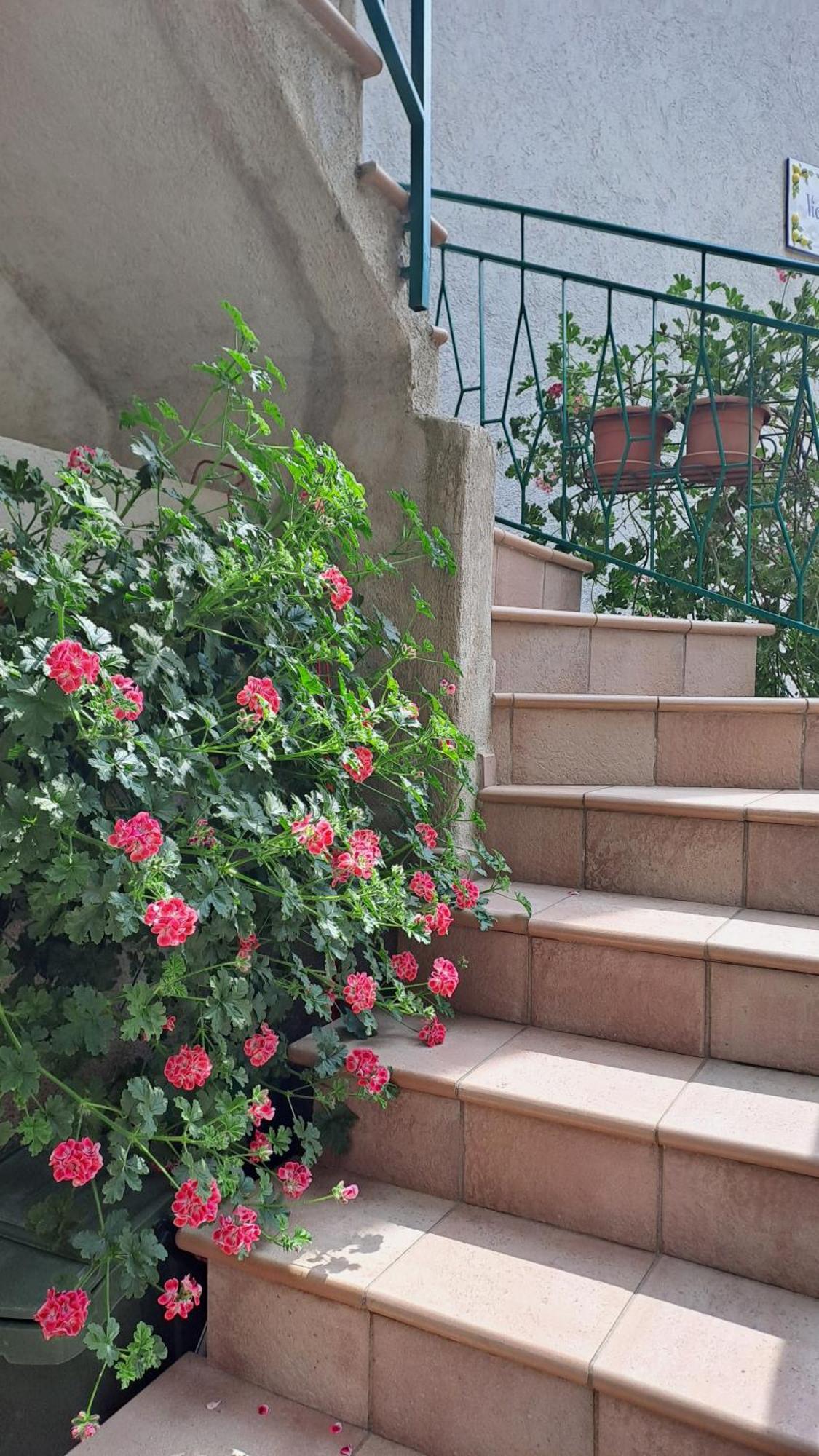 Apartament Casa Maria Lafinestrasulgarda Limone sul Garda Zewnętrze zdjęcie